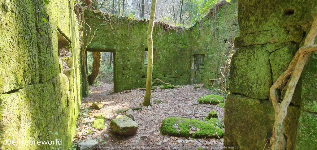 La Granja de las Salinas  en Pontevedra