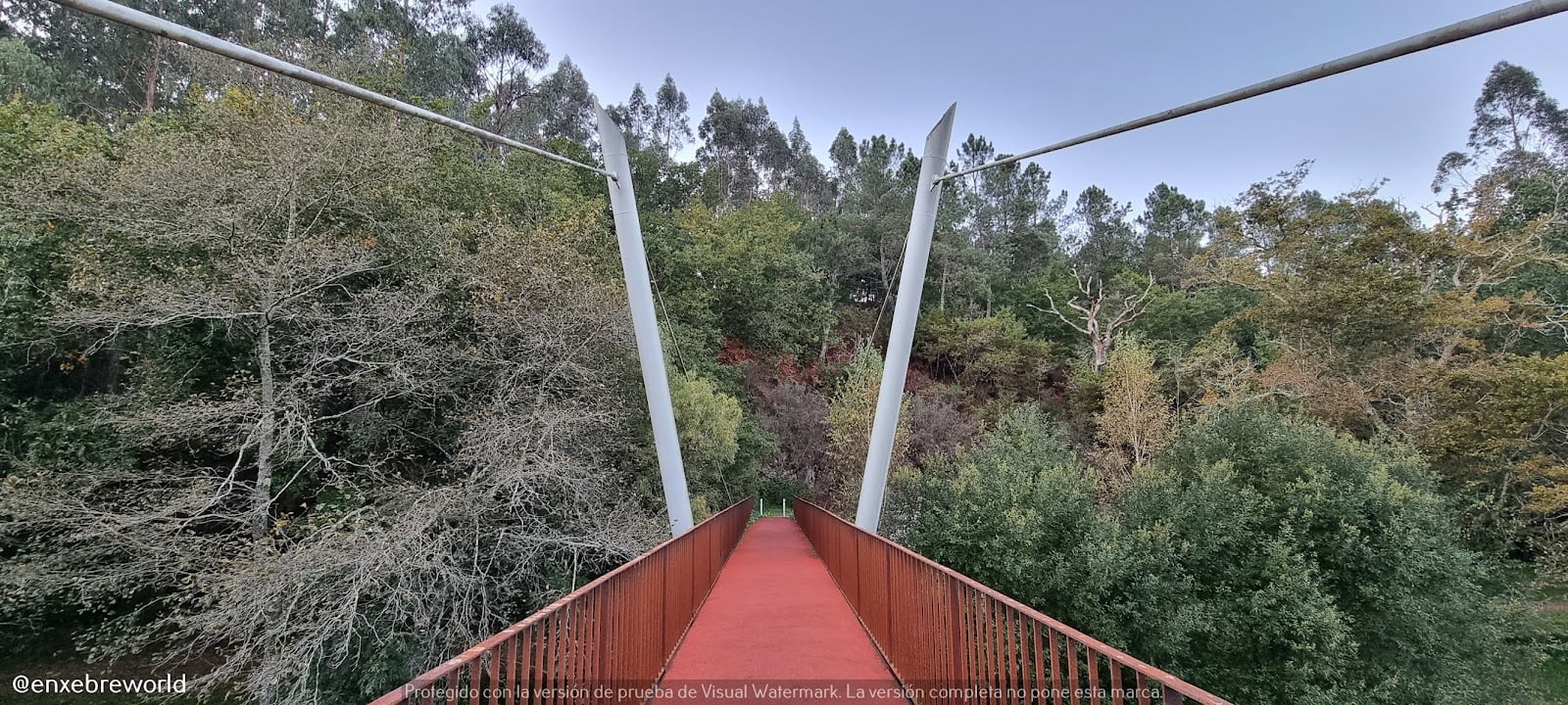 Puente colgante Coto Ximonde