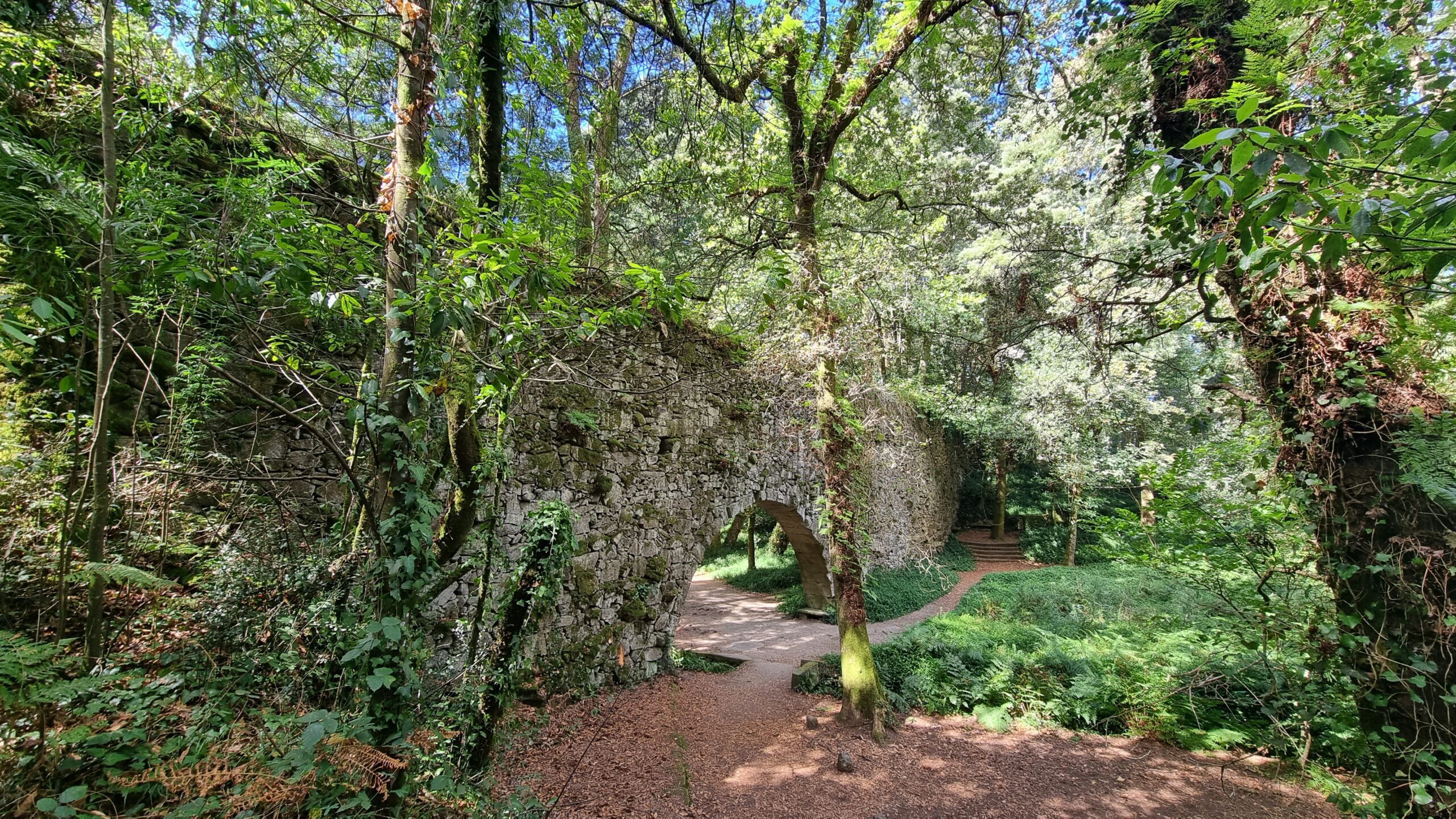 Bosque encantado