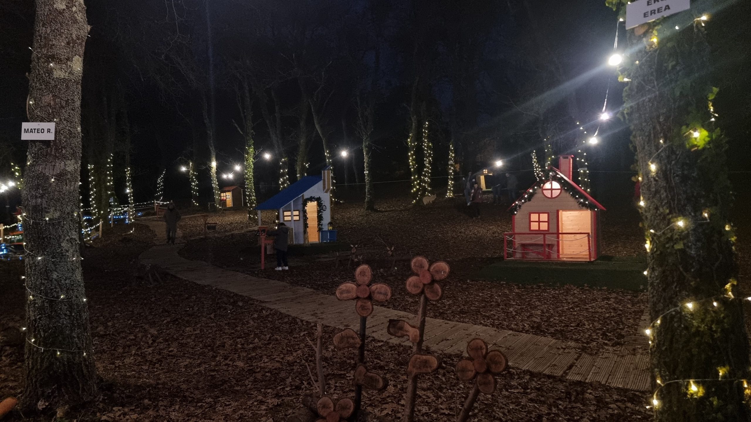 Bosque de Nadal en Noalla