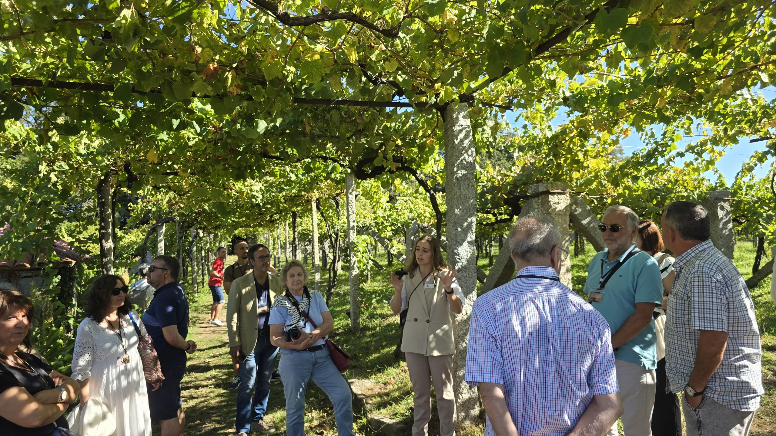 Bodega Gil Armada, Pazo de Fefiñanes