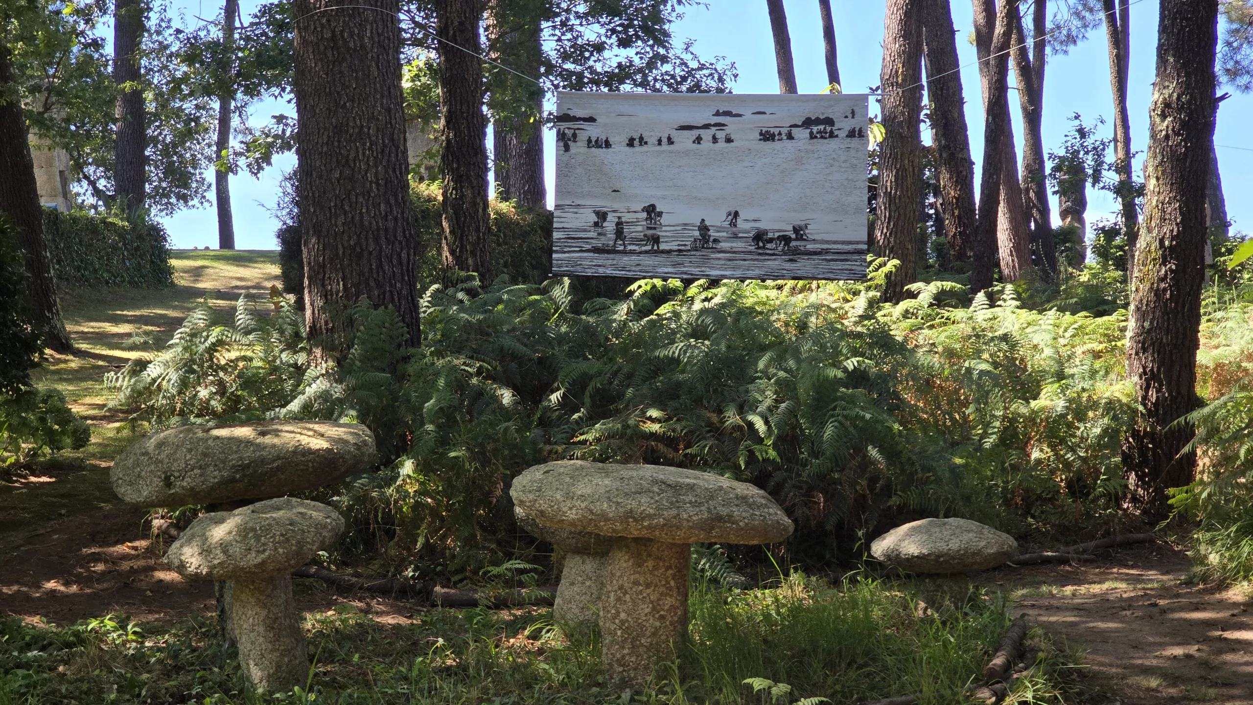 Fundación Manolo Paz, XII Xuntanza Bloggers Gastronómicos de Galicia