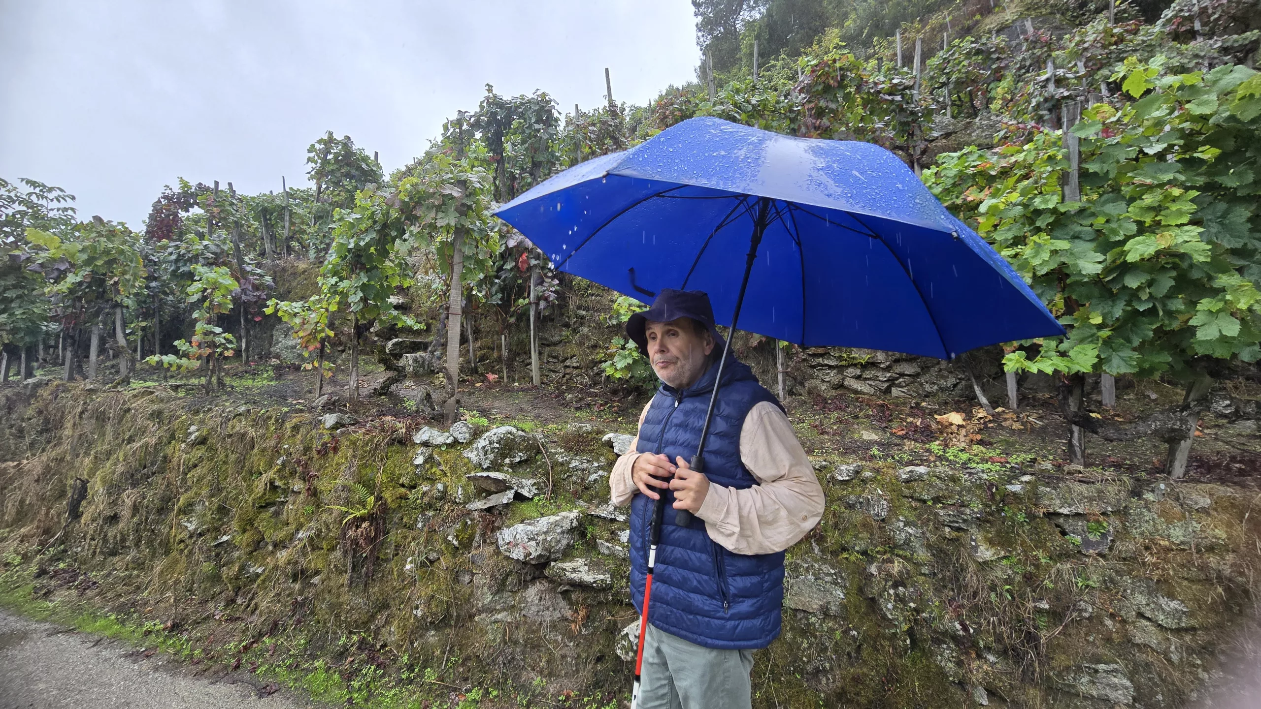 Actividades Outono gastronómico en Galicia