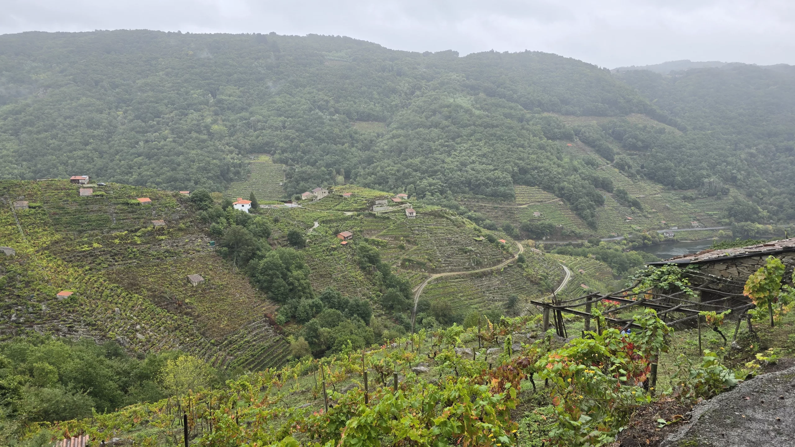 Actividades Outono gastronómico en Galicia