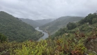 Actividades Outono gastronómico en Galicia