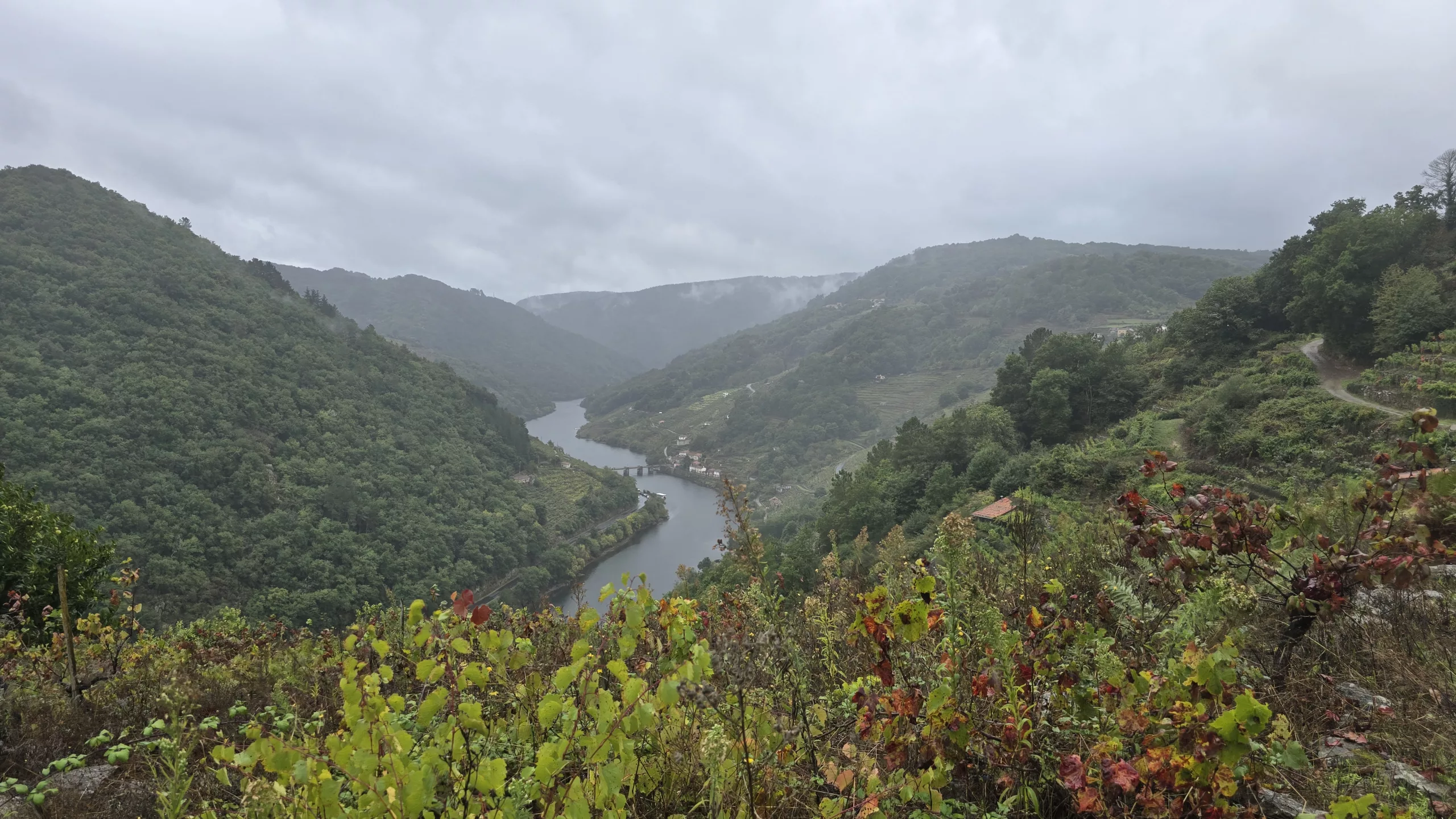 Actividades Outono gastronómico en Galicia