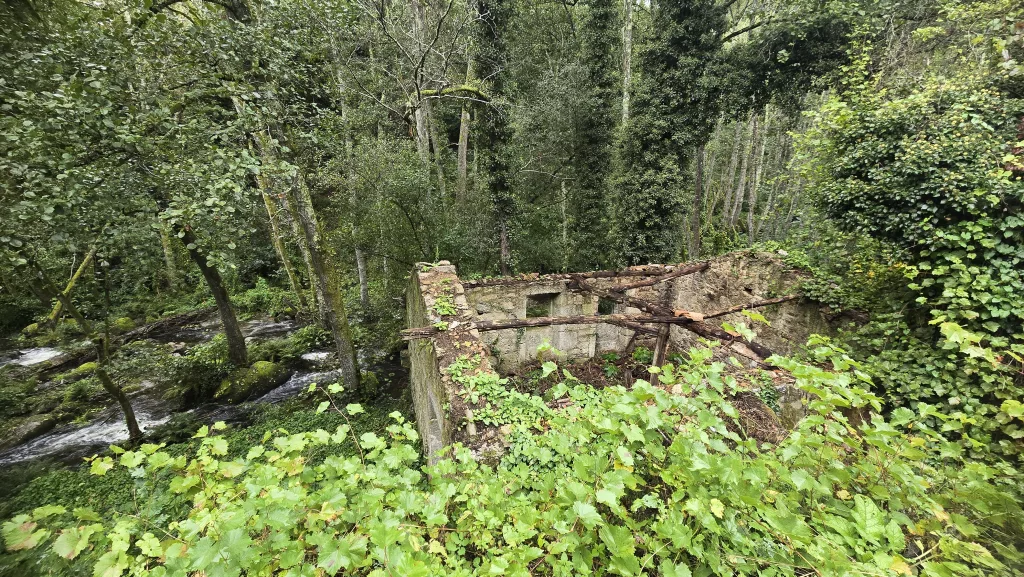 Ribeira Sacra lucense, Chantada