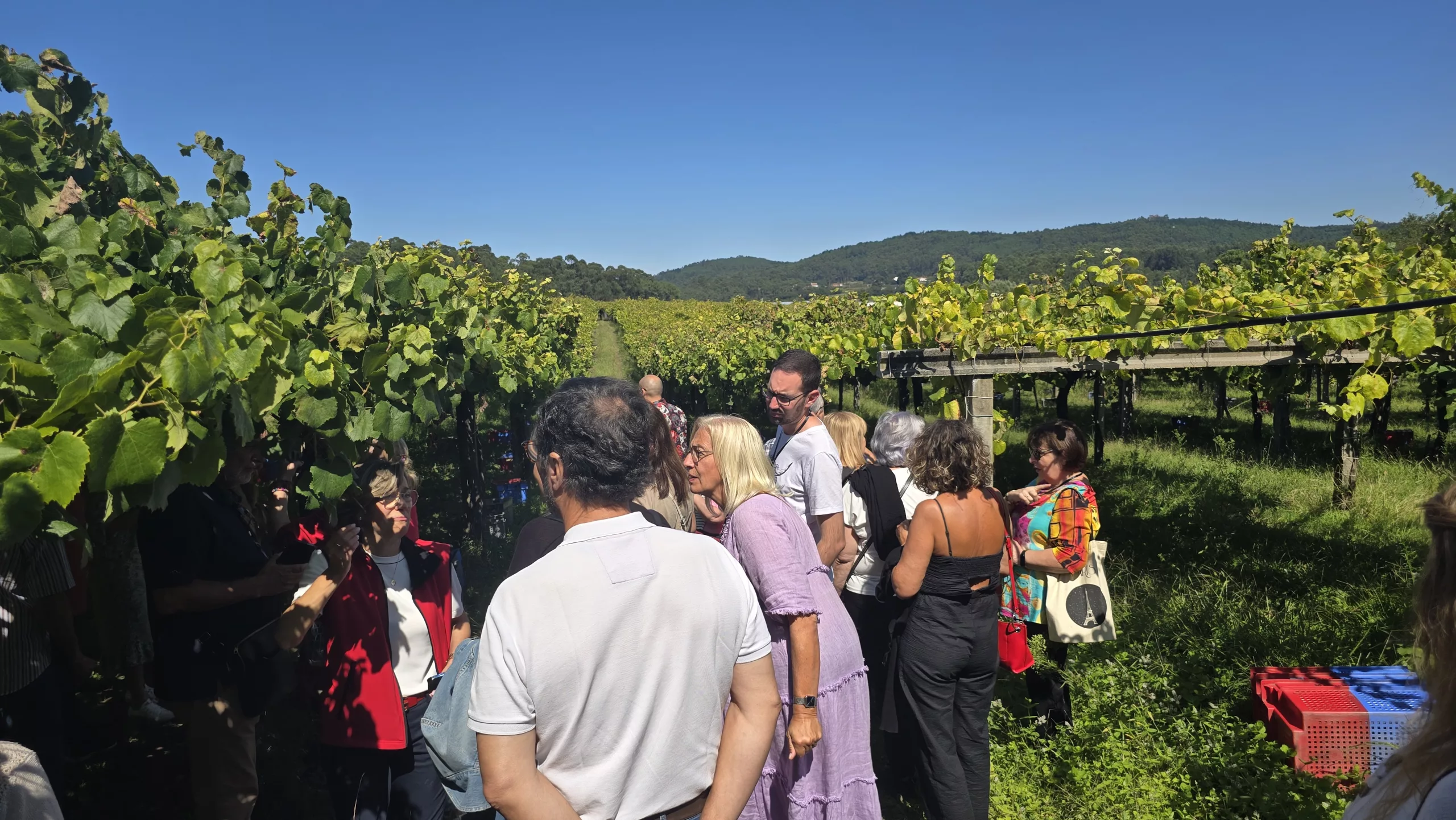 Bodegas Granbazán en Vilanova de Arousa